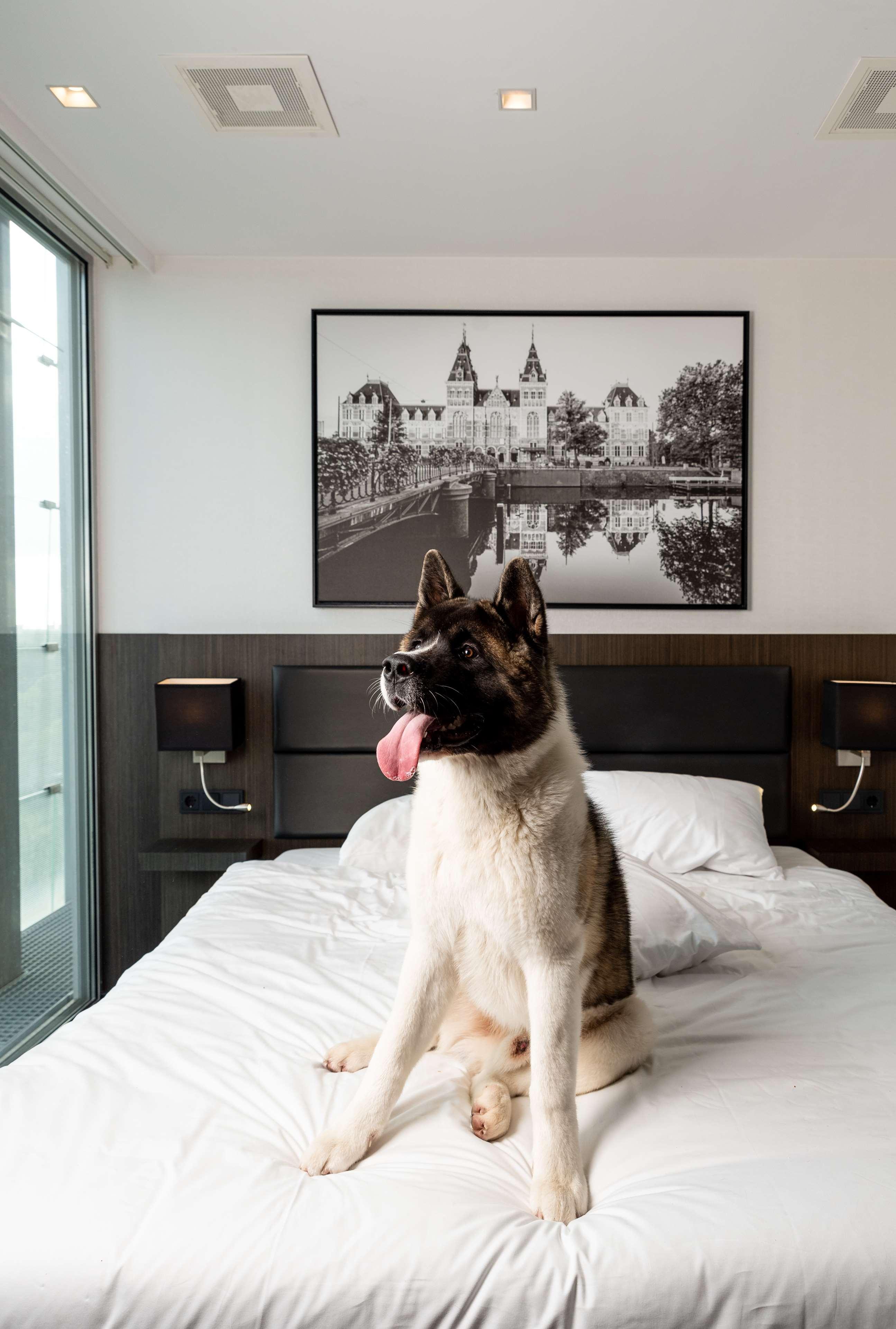 Radisson Hotel And Suites Amsterdam South ภายนอก รูปภาพ